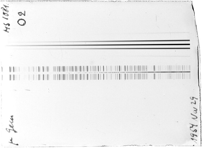 Scan STM1081