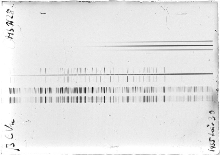 Scan STM1128