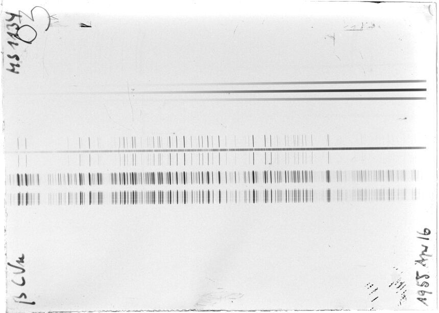Scan STM1134