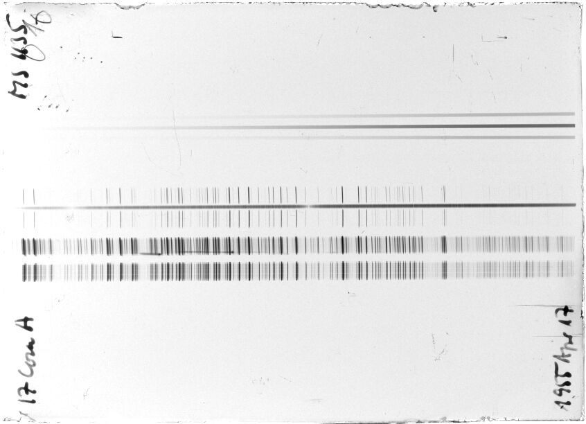 Scan STM1135