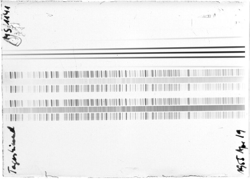 Scan STM1141
