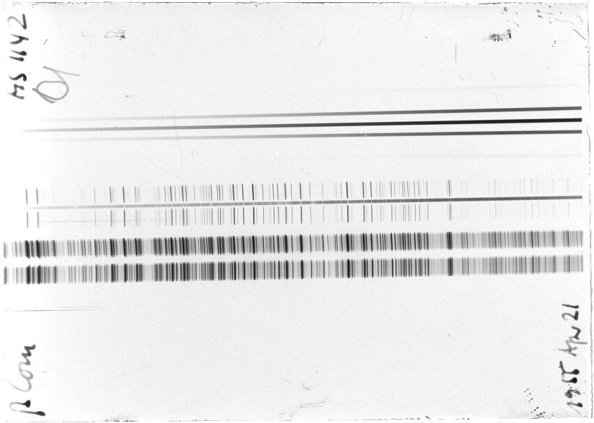 Scan STM1142
