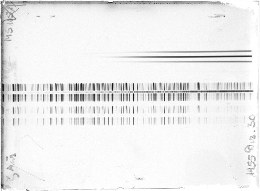 Scan STM1251