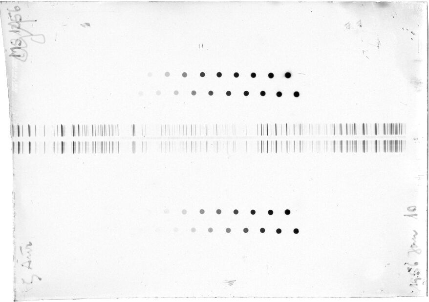 Scan STM1256