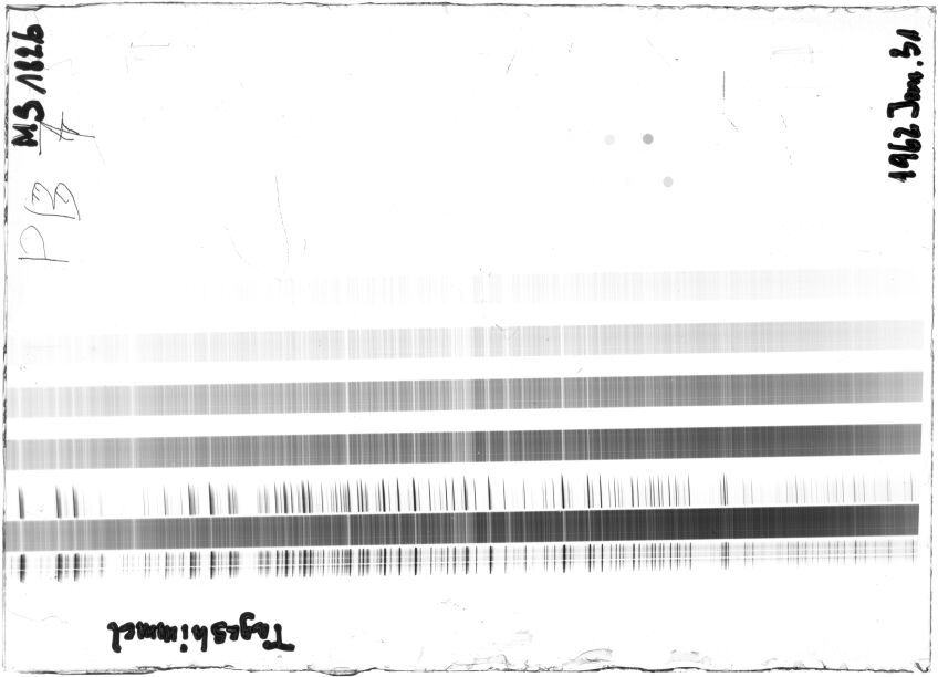 Scan STM1826