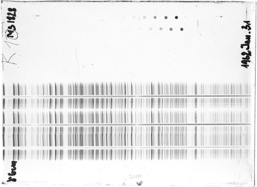 Scan STM1828