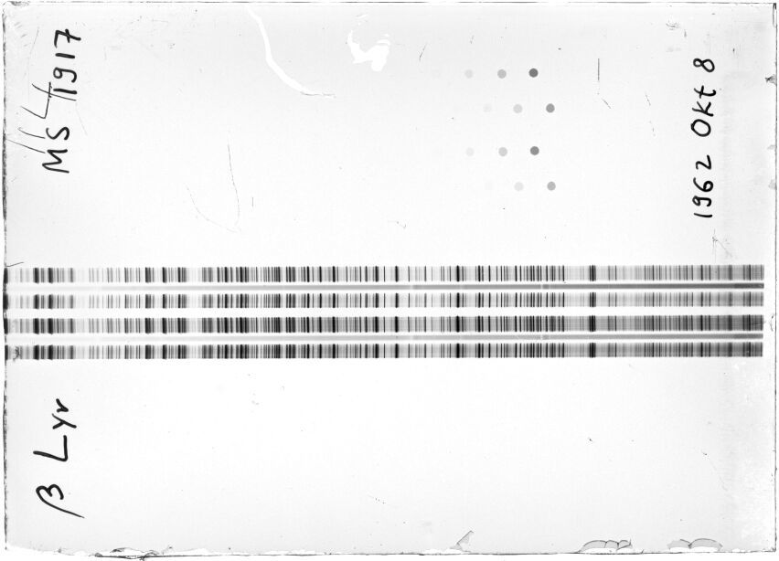 Scan STM1917