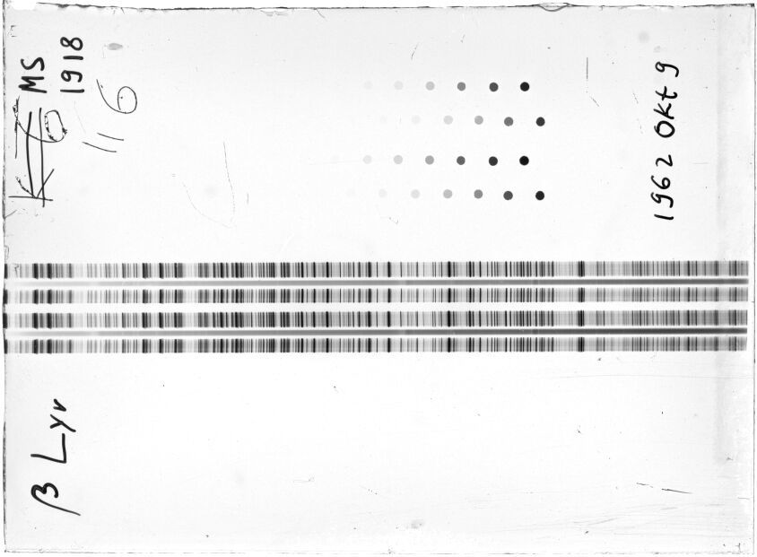 Scan STM1918