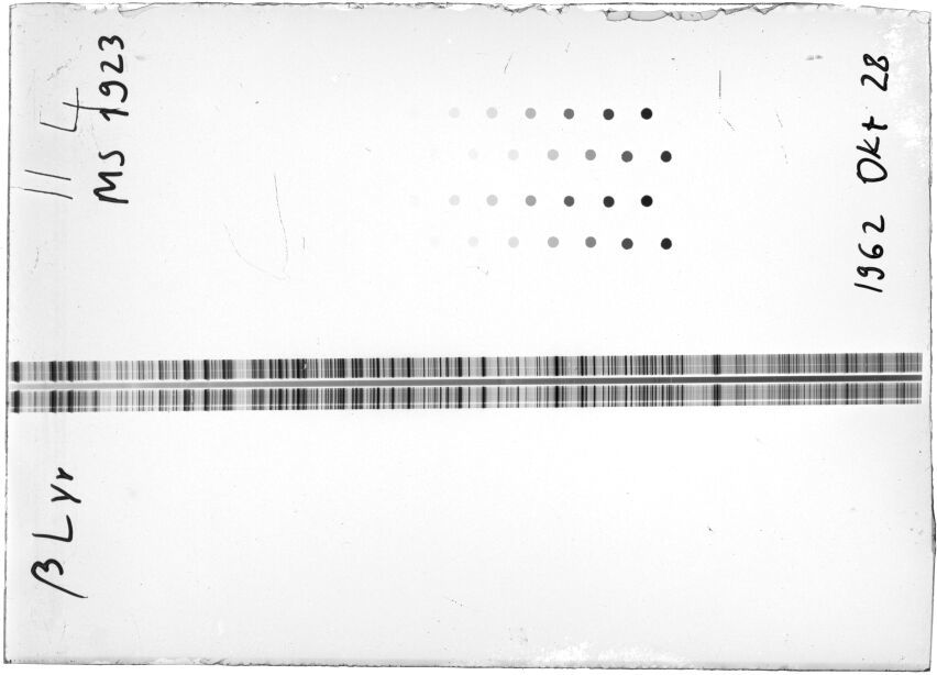 Scan STM1923