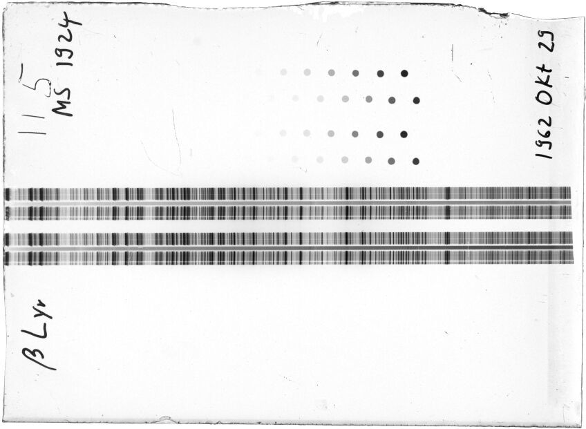 Scan STM1924