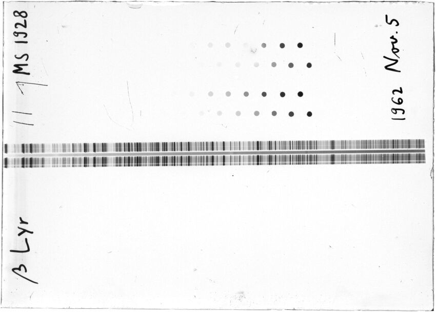 Scan STM1928