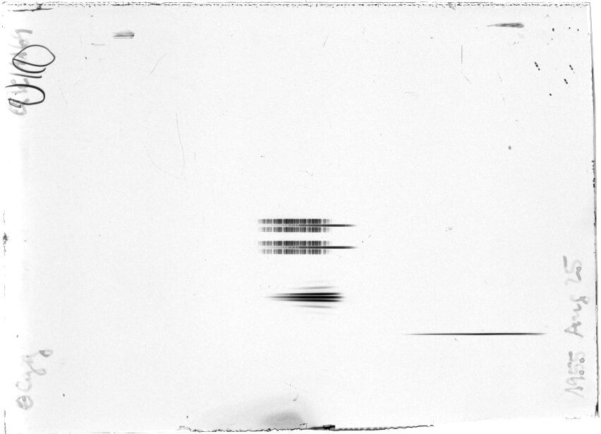 Scan STQ1169K