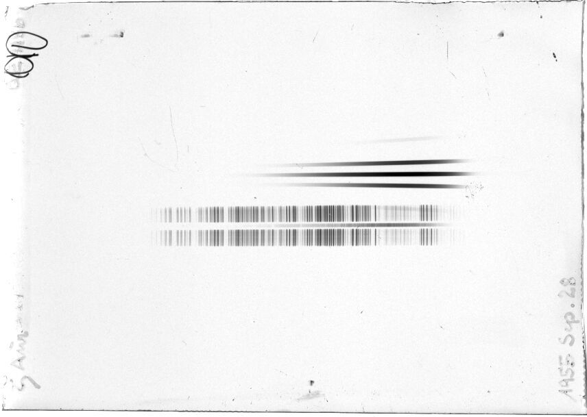 Scan STQ1186E
