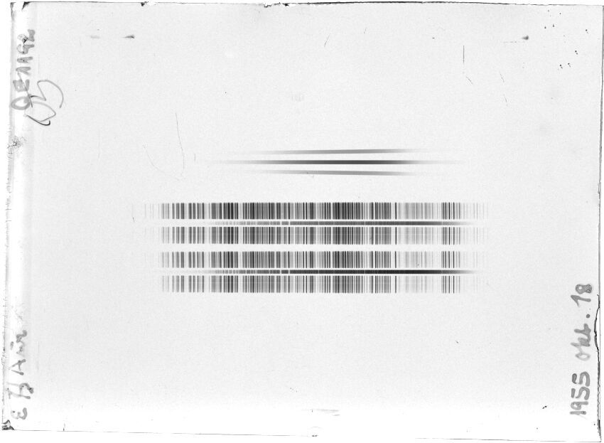 Scan STQ1192E