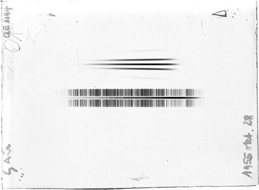 Scan STQ1194E
