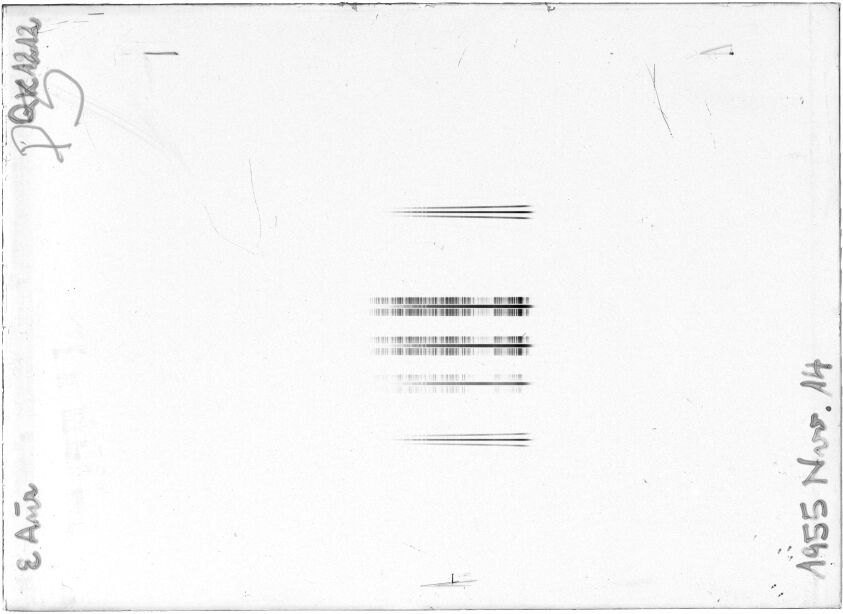Scan STQ1212K