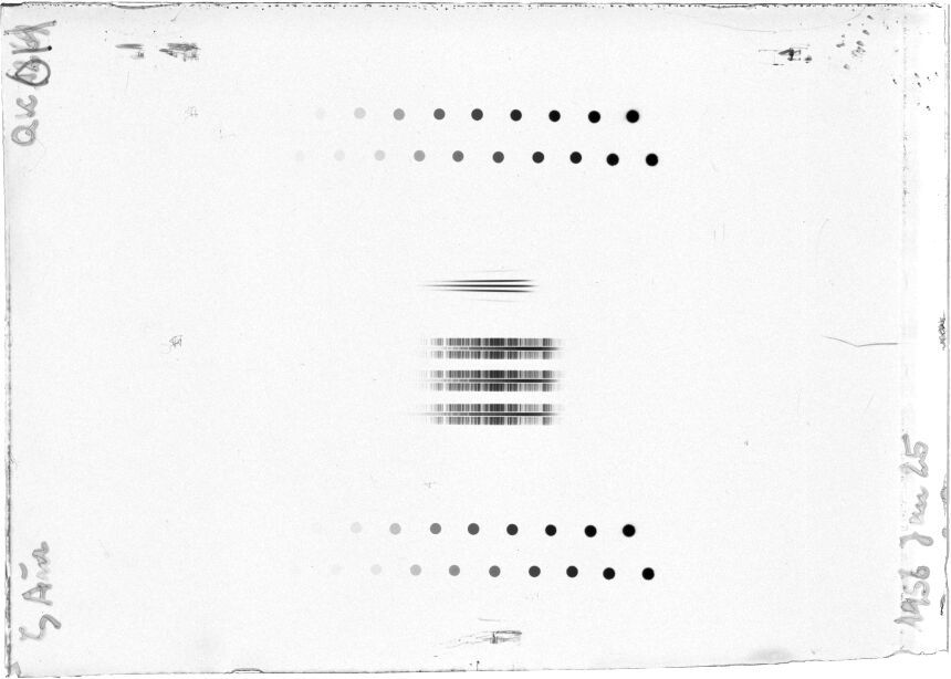 Scan STQ1269K