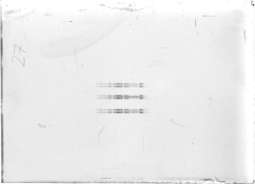 Scan STX0205