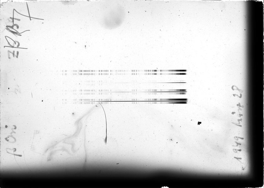 Scan STZ0139