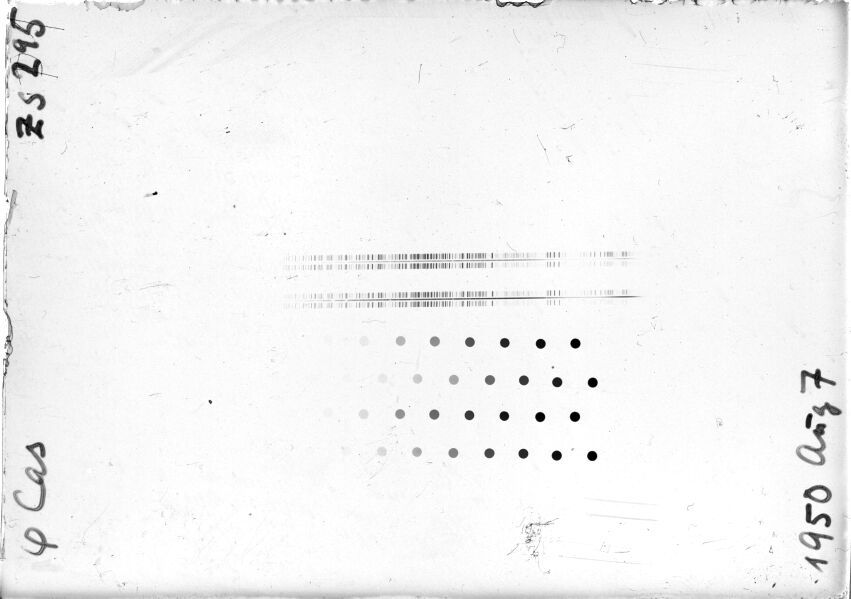 Scan STZ0295