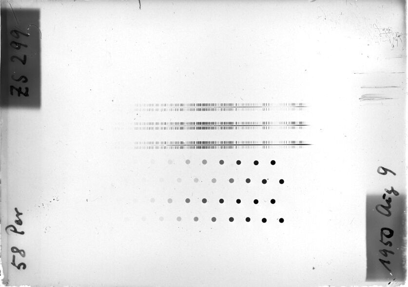 Scan STZ0299