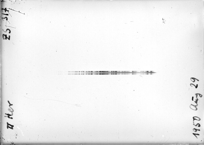 Scan STZ0317