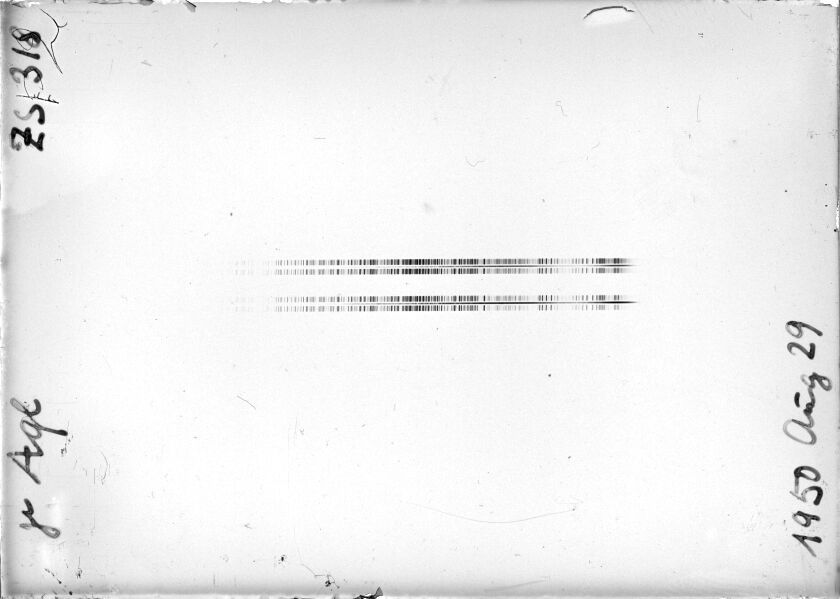 Scan STZ0318