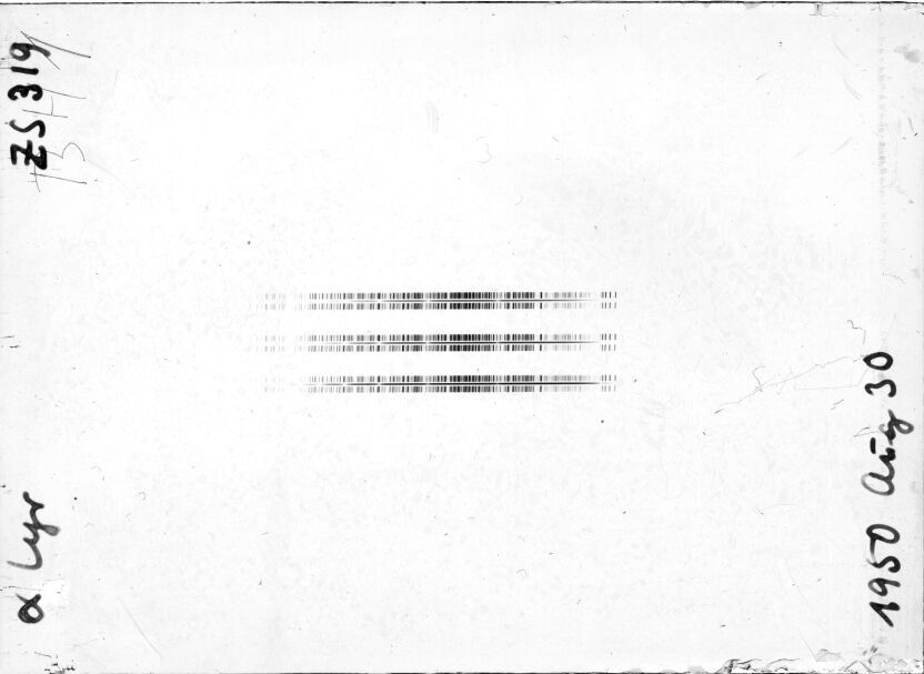 Scan STZ0319