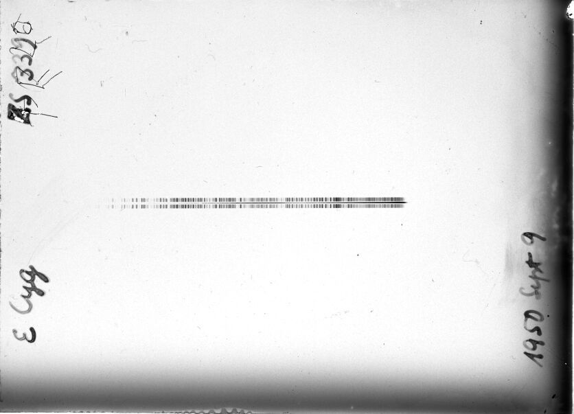 Scan STZ0339
