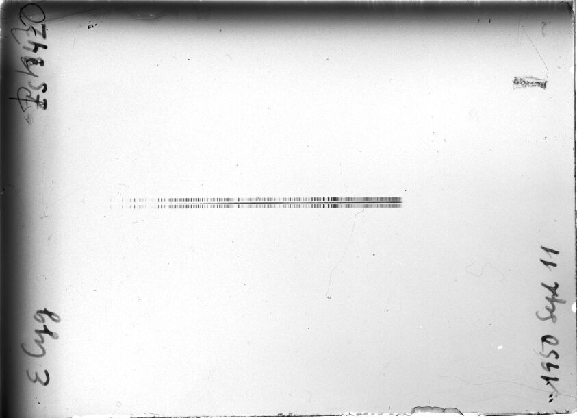Scan STZ0342