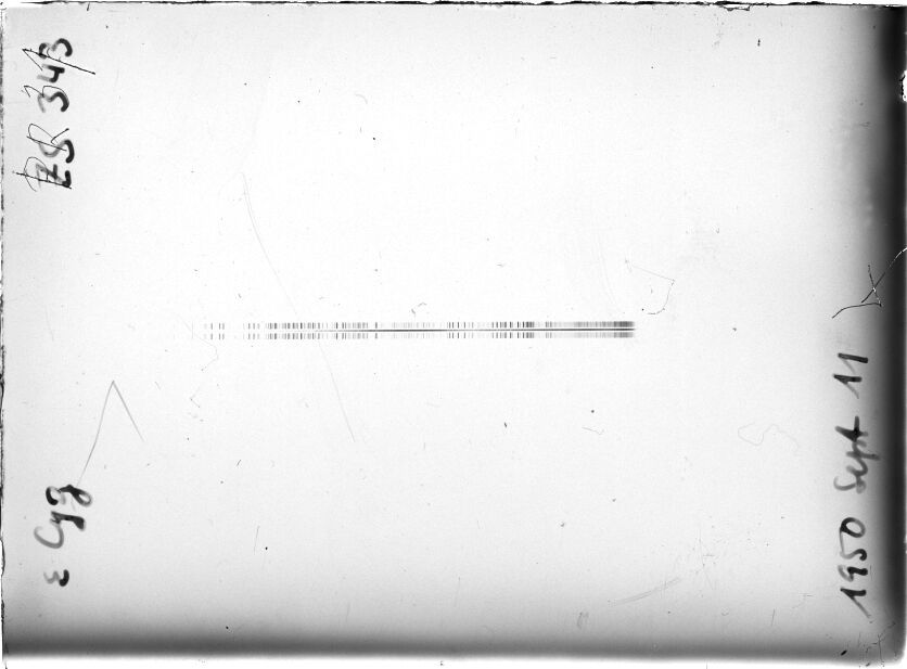 Scan STZ0343