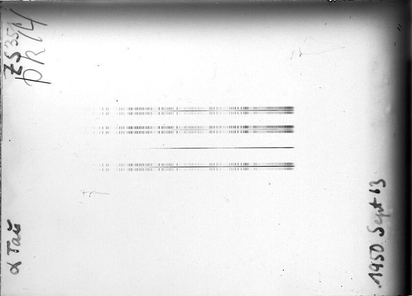 Scan STZ0351
