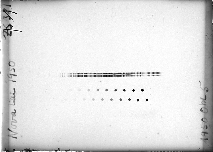 Scan STZ0381