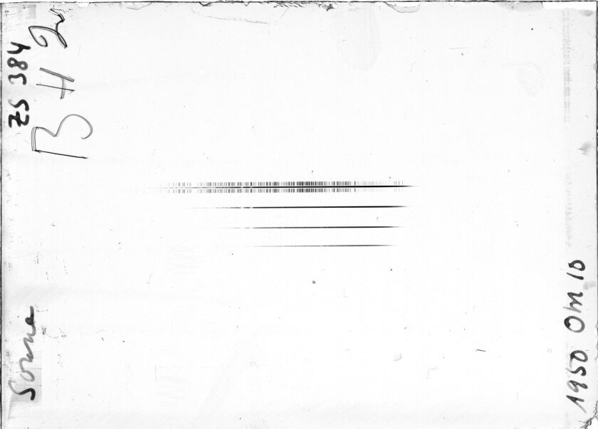 Scan STZ0384