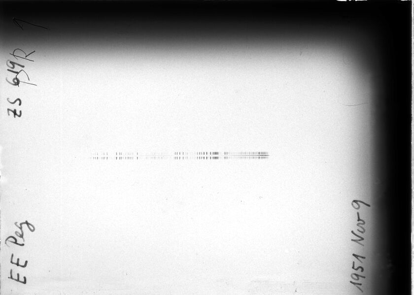 Scan STZ0619