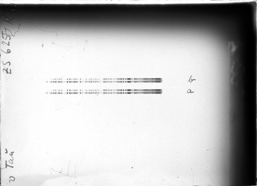 Scan STZ0625