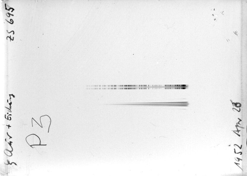 Scan STZ0695