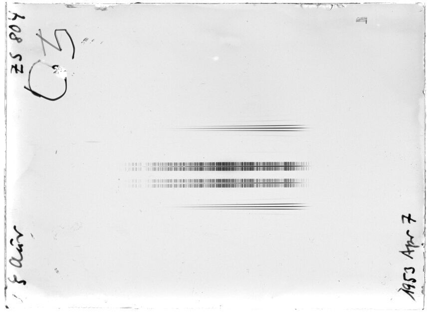 Scan STZ0804